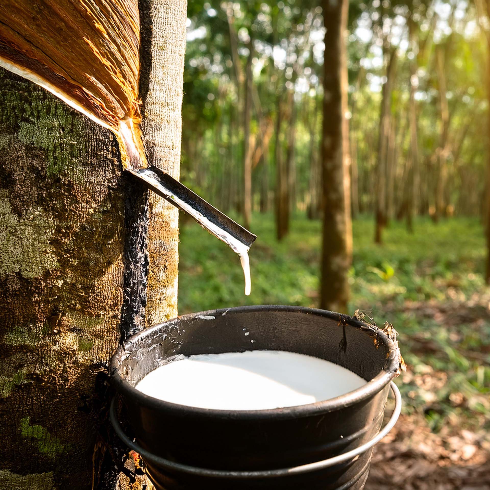 Erzstef Naturlatex Nackenstützkissen verstellbar Erzstef Naturlatex Nackenstützkissen verstellbar