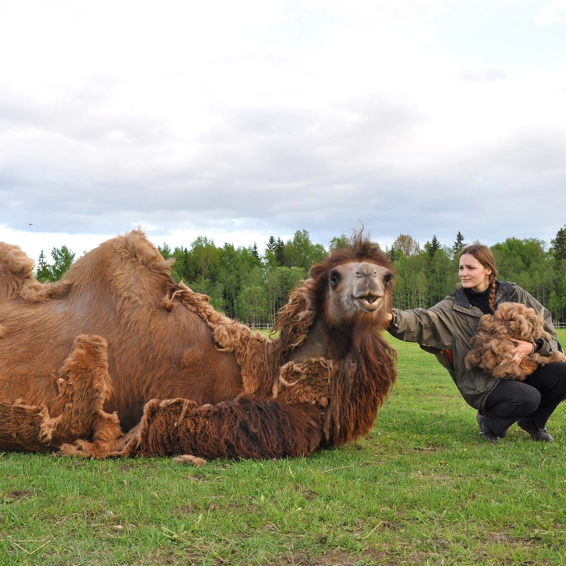 Erzstef Dubai camel hair duvet