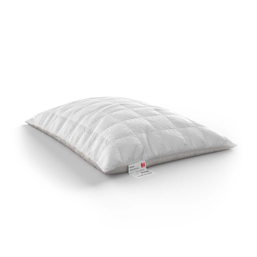 Softsleep oreiller en plumes avec housse matelassée Queen rechargeable