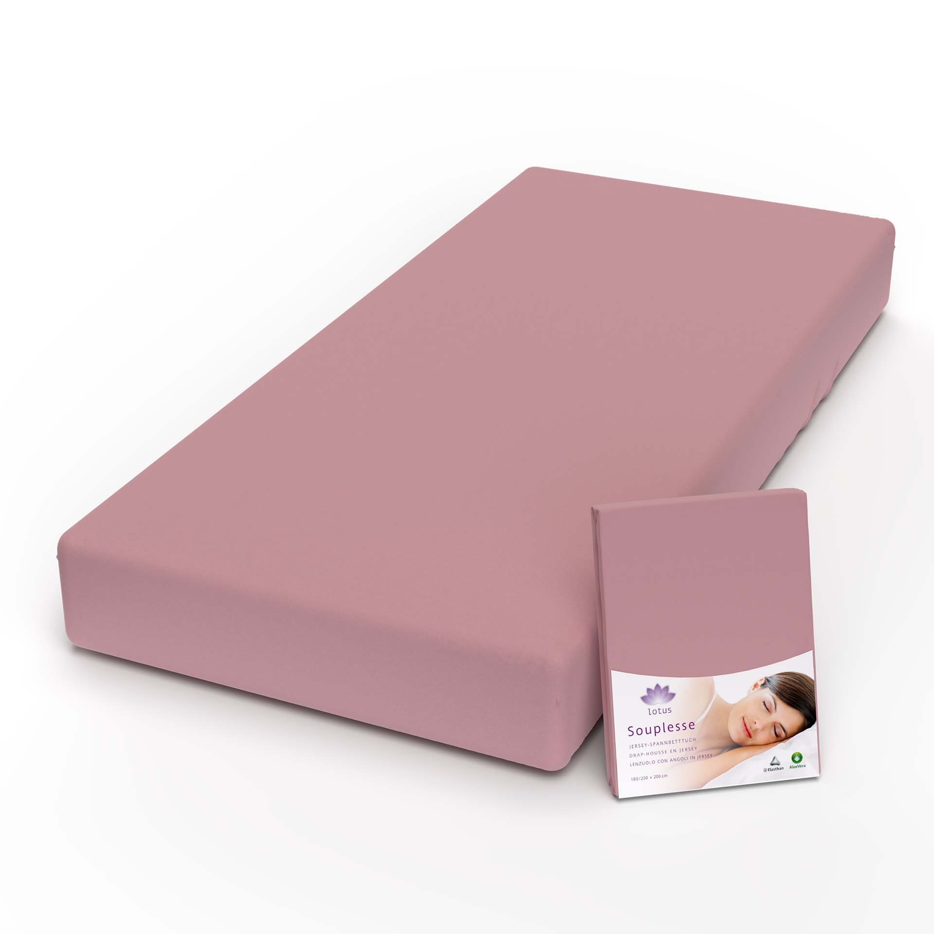 Lotus Jersey Fitted Sheet Souplesse