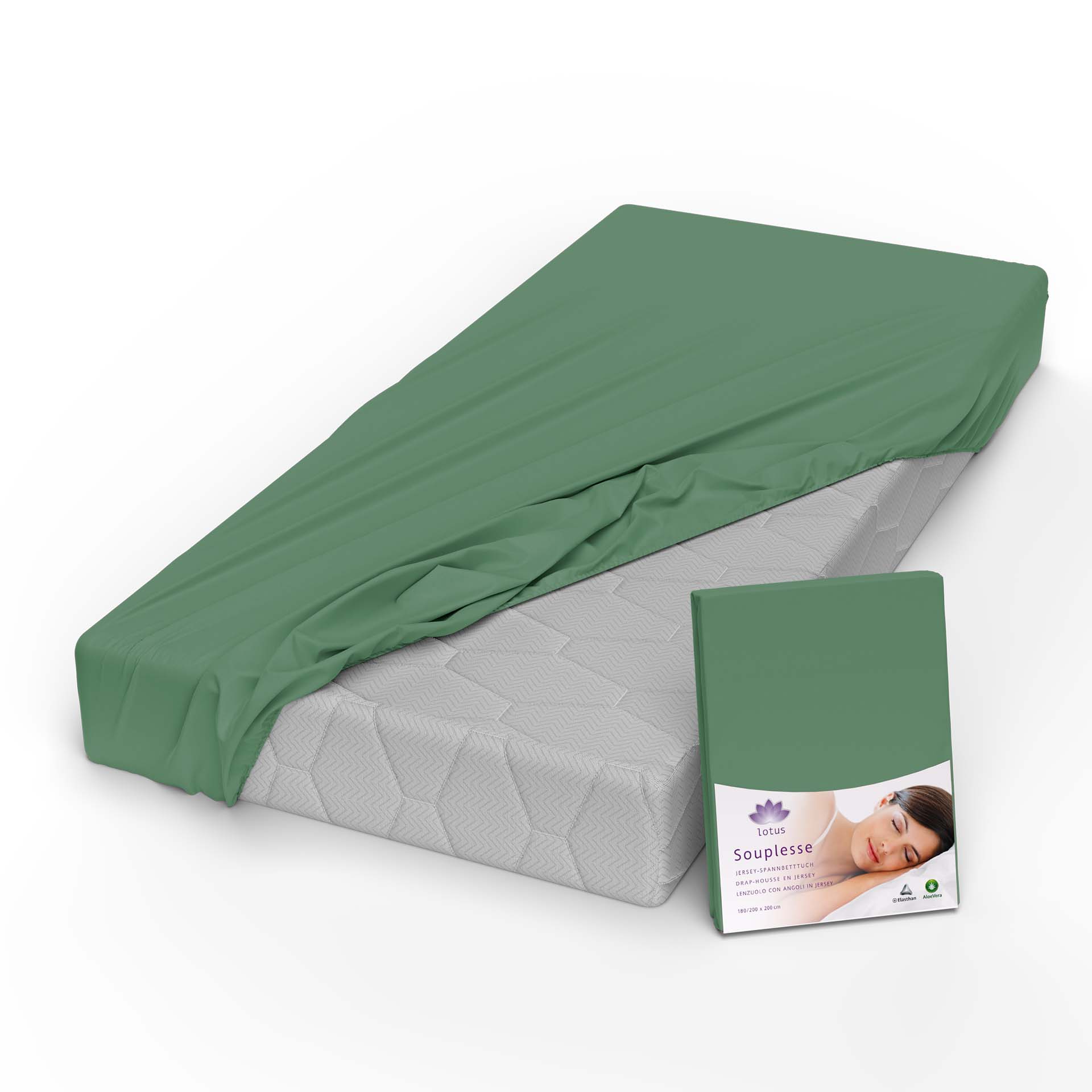 Lotus Jersey Fitted Sheet Souplesse