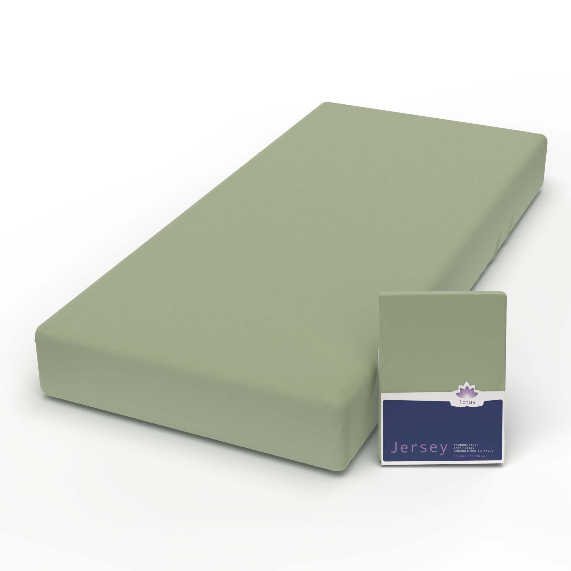 Lotus Jersey fitted sheet Comfort