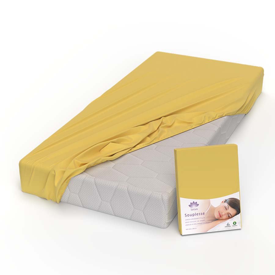 Lotus Jersey Fitted Sheet Souplesse