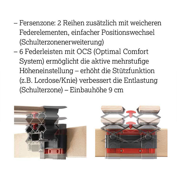 Lattenrost Motor Ergonomico 2 motorig