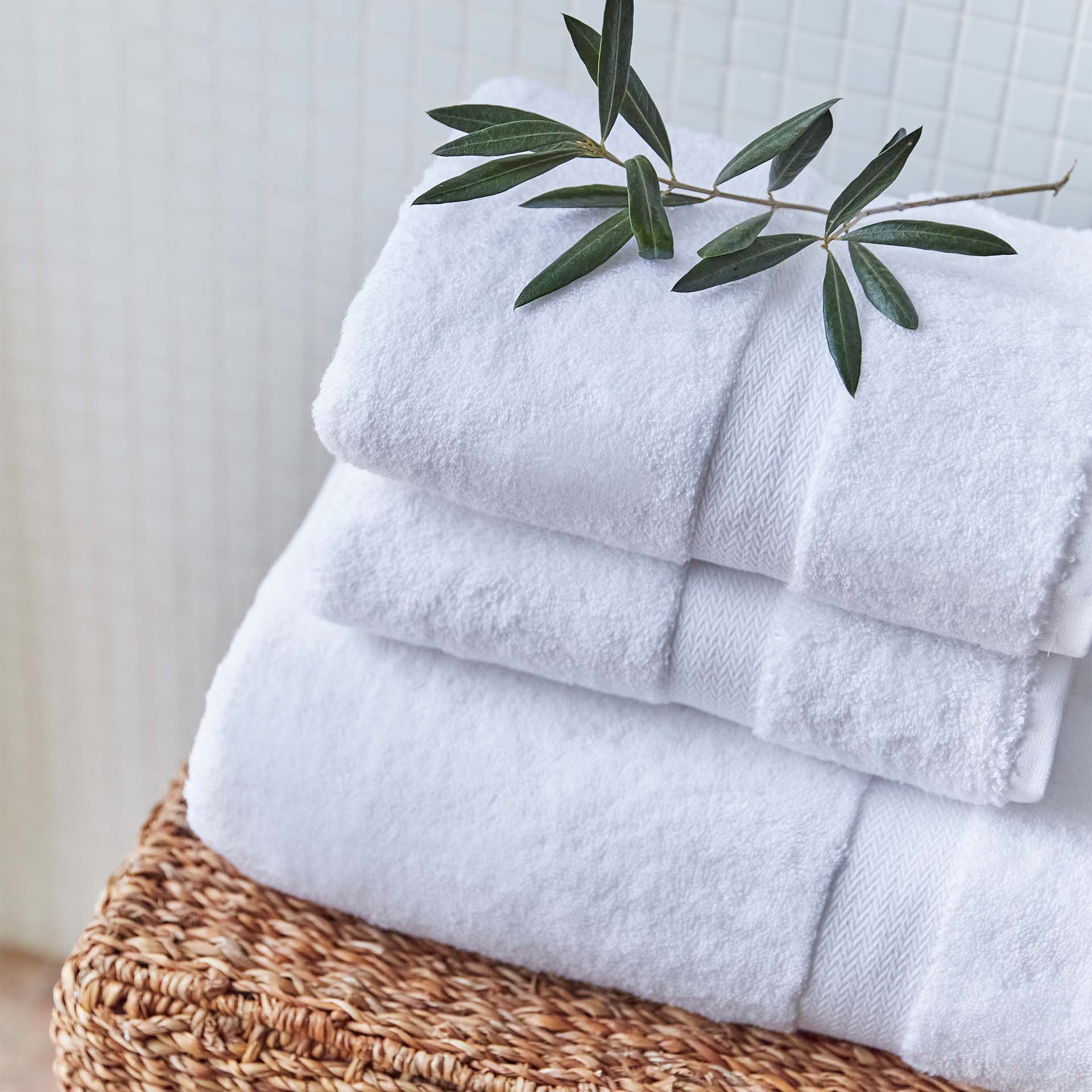 Torres Novas Linge éponge Almonda