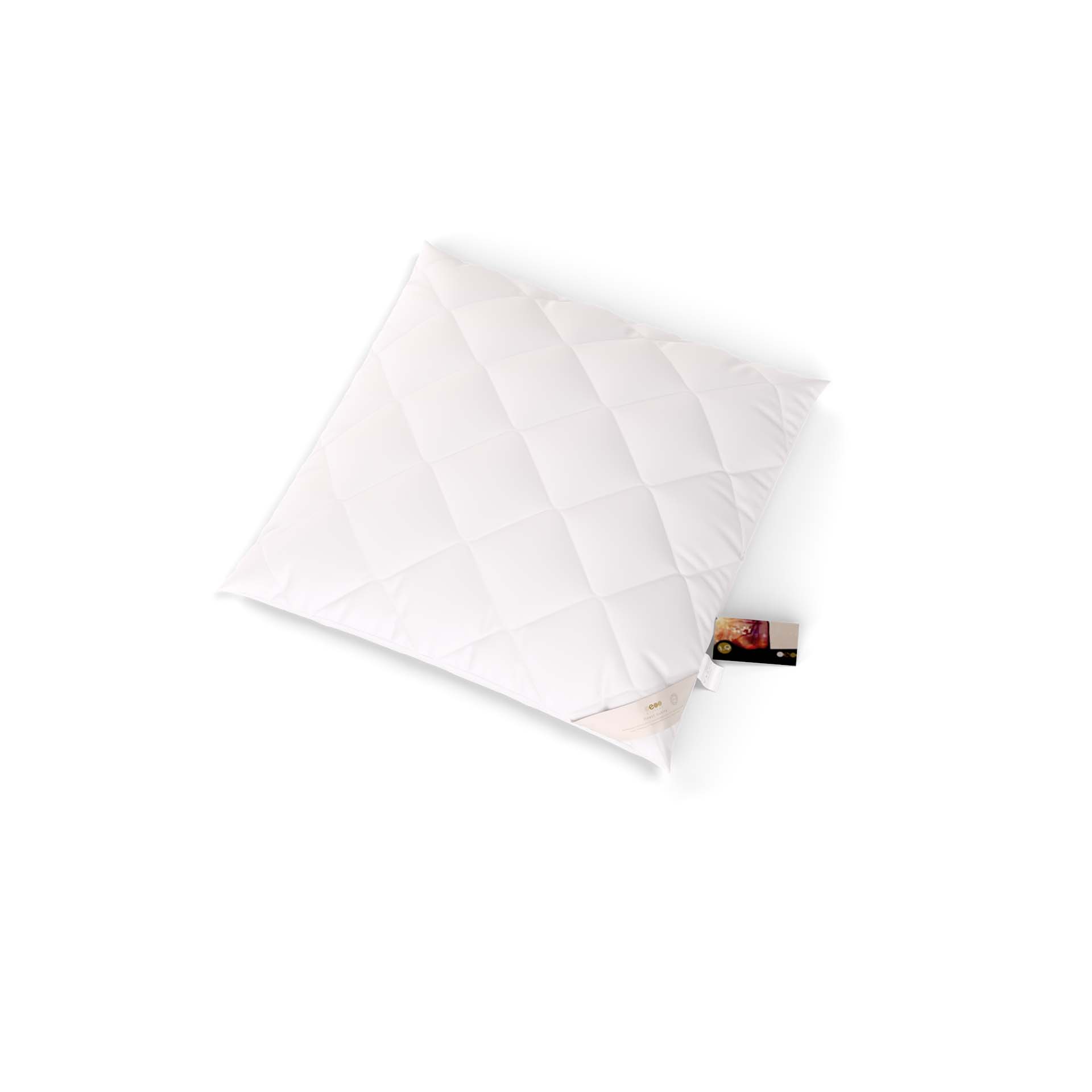 Erzstef pillow antiallergic Chemnitz