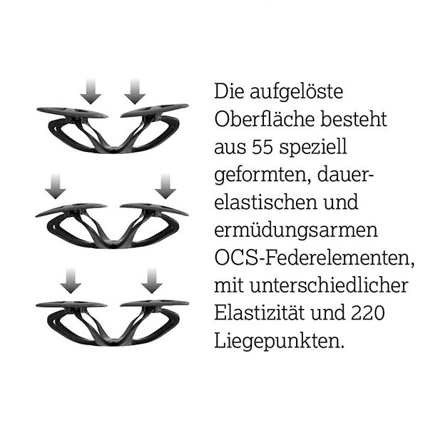 Lattenrost Motor Ergonomico 4 motorig