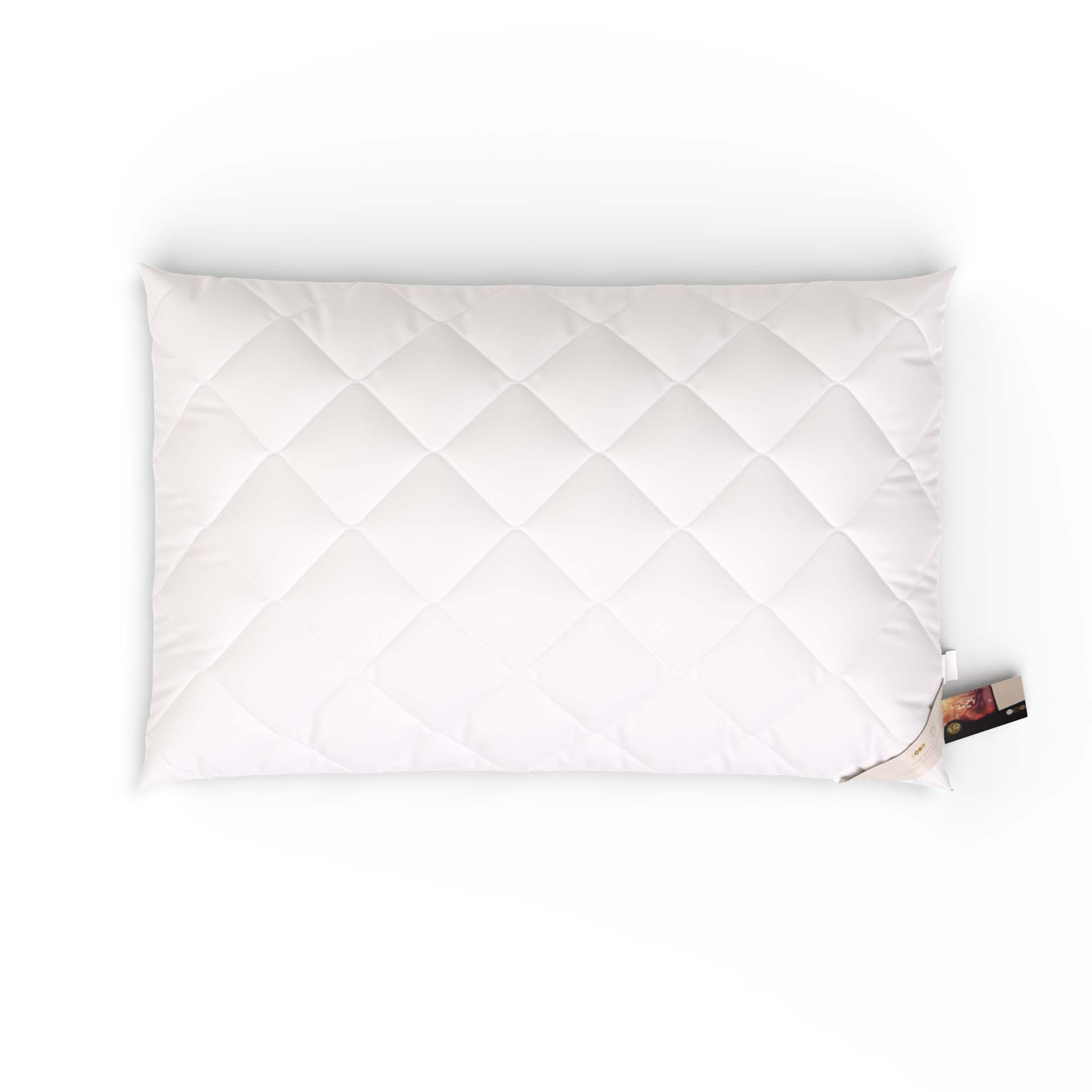 Erzstef pillow antiallergic Chemnitz